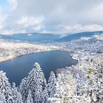 Beautiful In Nature Near Gerardmer! Шале