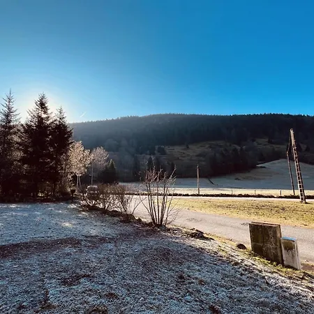 Chalet Beautiful Chalet In Nature Near Gerardmer!