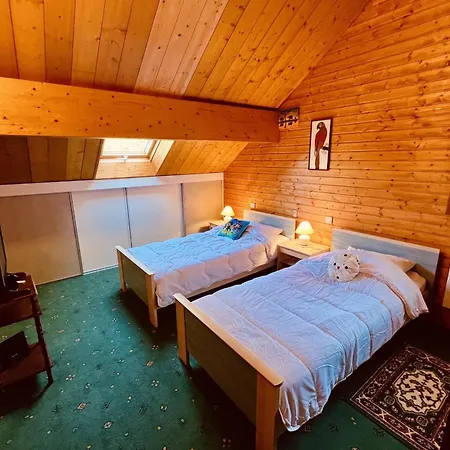 Beautiful Chalet In Nature Near Gerardmer! * Rochesson