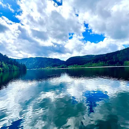 샬레 Beautiful In Nature Near Gerardmer! *