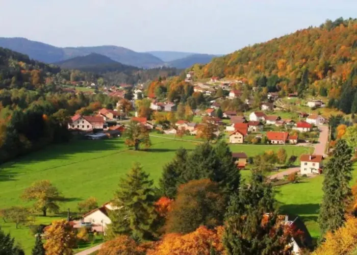 Beautiful In Nature Near Gerardmer! 샬레