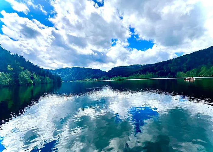 샬레 Beautiful In Nature Near Gerardmer! *