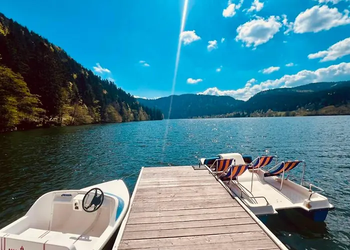 Beautiful In Nature Near Gerardmer! * Rochesson