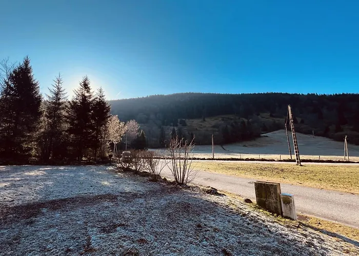 Beautiful In Nature Near Gerardmer! 샬레