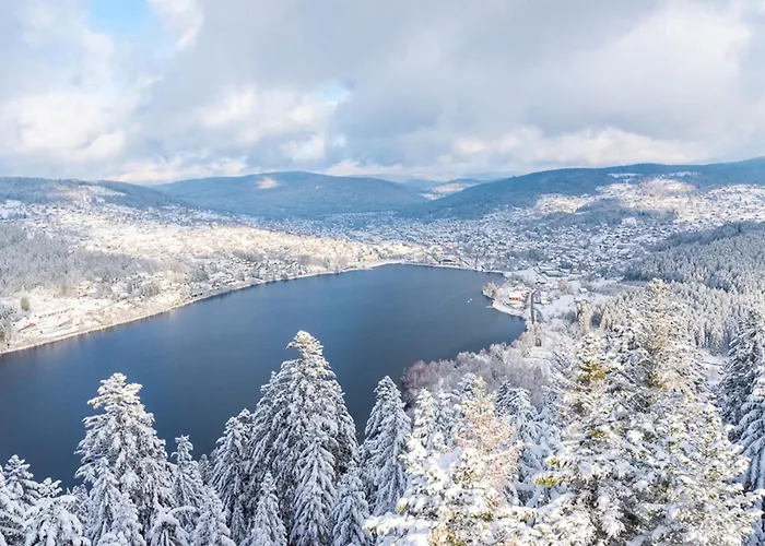 Beautiful In Nature Near Gerardmer! 샬레